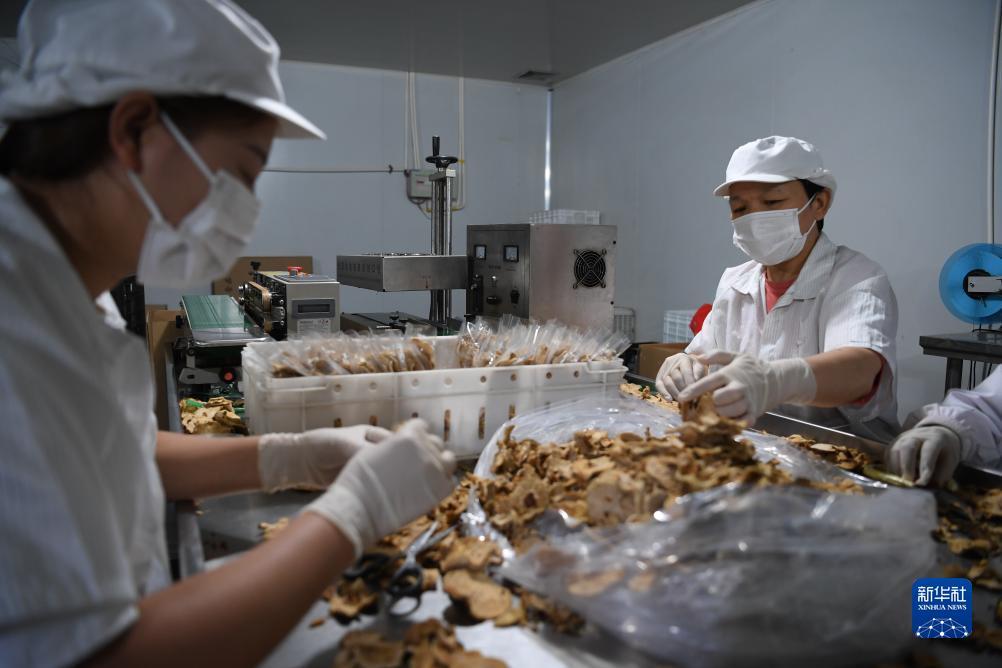 可以领彩金的彩票平台